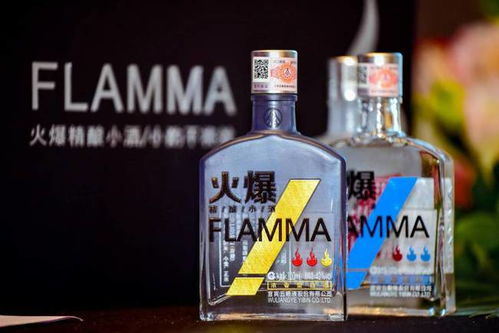 五粮液系列酒战略品牌“百家宴”“火爆”双星闪耀，在渝闪亮登场